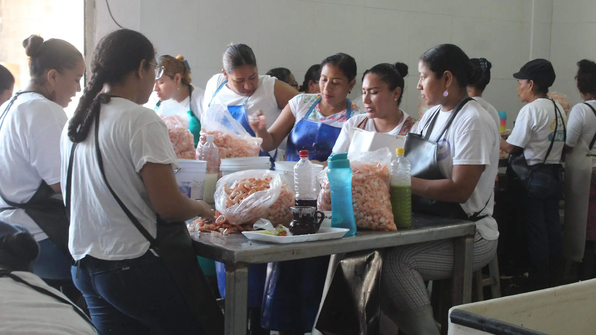 Grupo de más de 40 mujeres pelan hasta una tonelada de camaron al día 